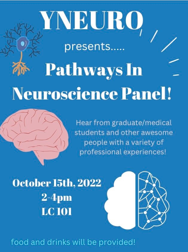 YNEURO: Pathways In Neuroscience Panel | Neuroscience | Undergraduate Major